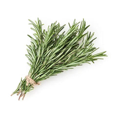 Rosemary Holland 5 Kg