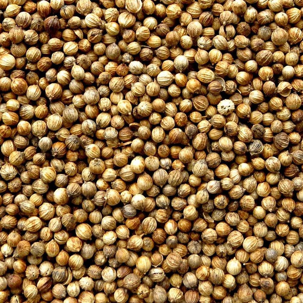 Seven Harvest Coriander Whole 1 x 15 KG - HorecaStore