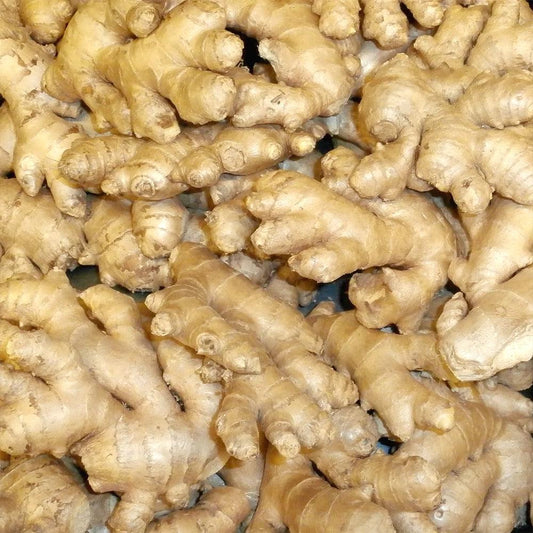 Seven Harvest Whole Ginger 1 x 25 KG - HorecaStore