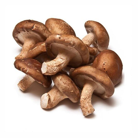 Shiitake Mushroom Holland 1 Kg   HorecaStore