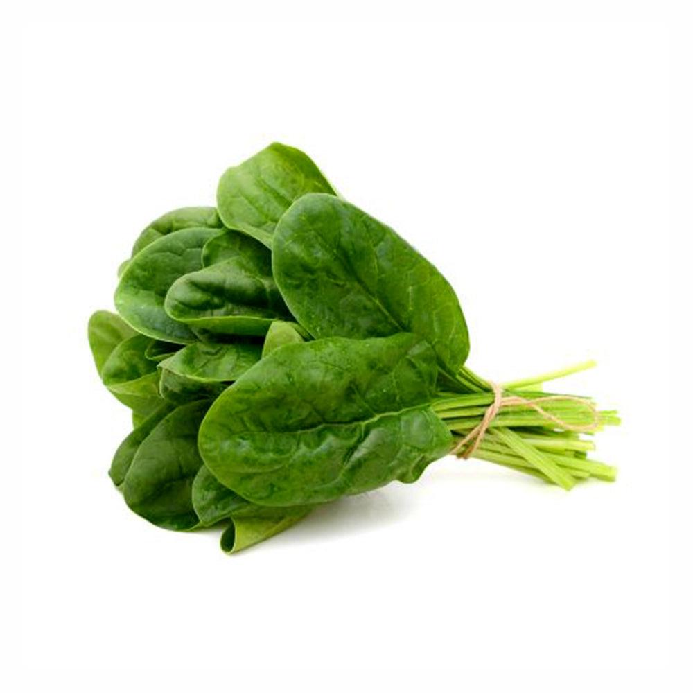 Spinach Leaves Lebanon 1 Kg   HorecaStore