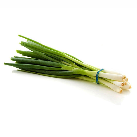 Spring Onion Middle East 1 Kg   HorecaStore