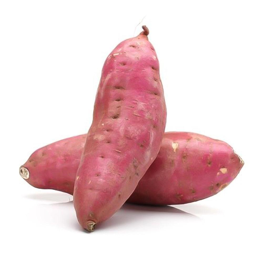 Sweet Red Potato 1 Kg   HorecaStore