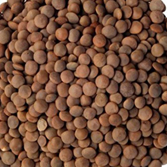 India Brown Lentils 15 kg - HorecaStore