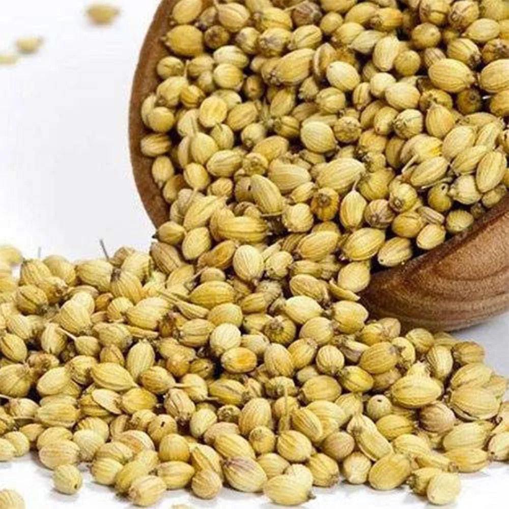 Coriander Whole 40 Kgs - HorecaStore