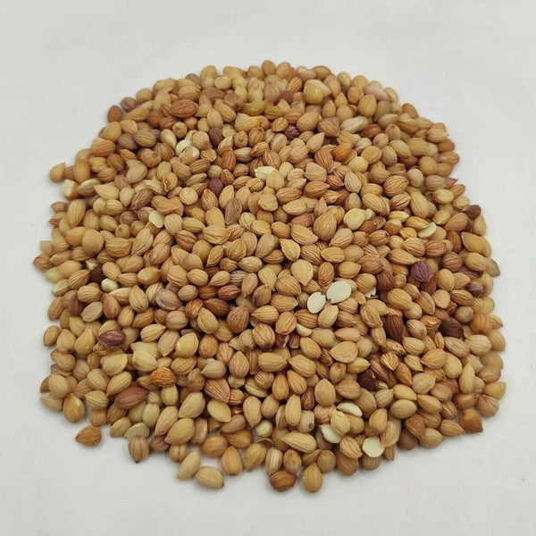 UAE Mahlab Seed 1 Kg - HorecaStore