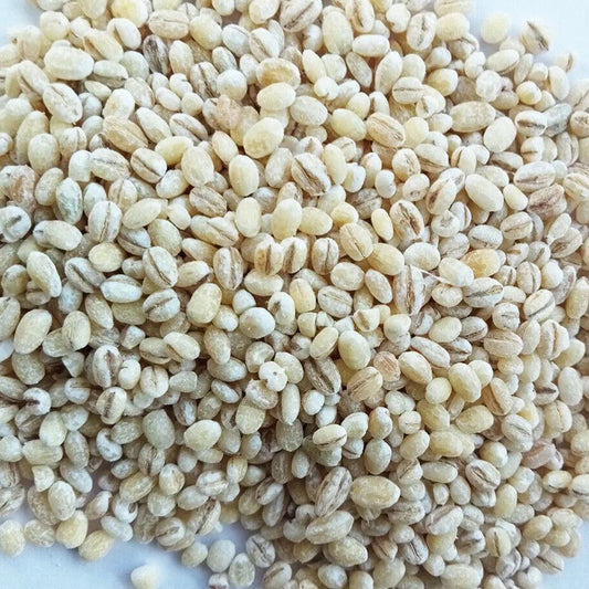 India Barley Seeds 30 kg - HorecaStore