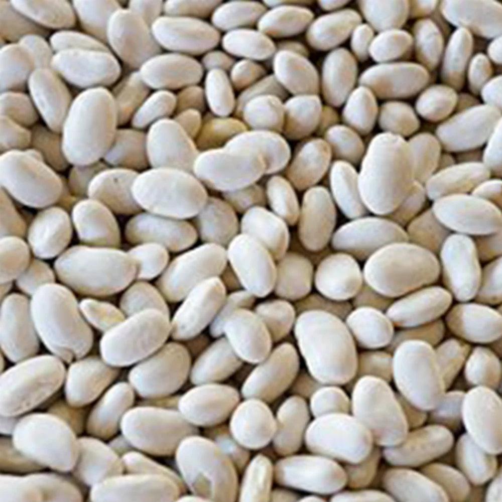 Egypt White Small Beans 25 kg - HorecaStore