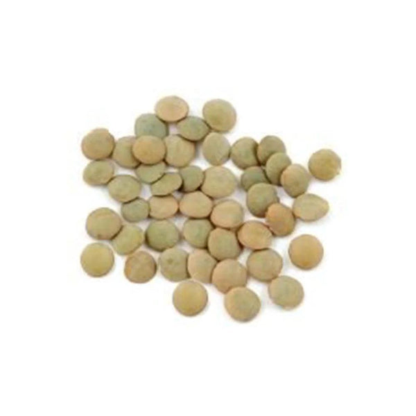 Canada Green Lentil 15 kg - HorecaStore