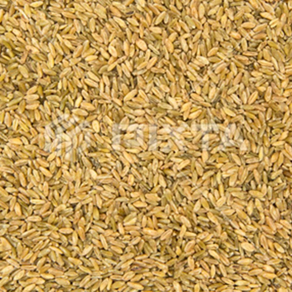 Syrian Freekeh 25 kg - HorecaStore