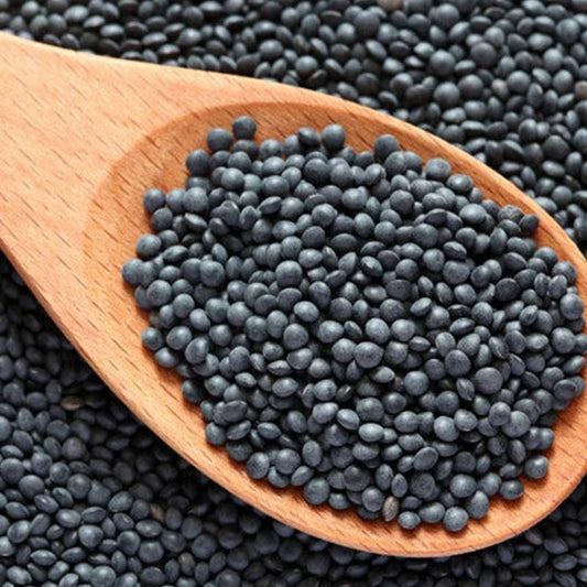 India Whole Black Lentils 15 kg - HorecaStore