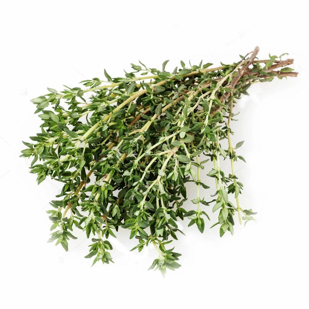 Thyme Holland 1 Kg   HorecaStore