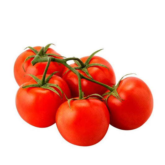 Tomato Bunch Holland 1 Kg   HorecaStore