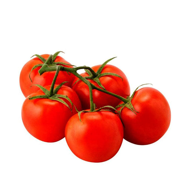 Tomato Bunch Spain 1 Kg   HorecaStore