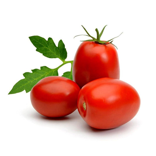 Tomato Roma Plum Holland 1 Kg   HorecaStore