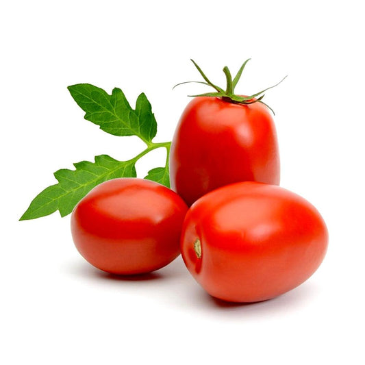 Tomato Roma Plum Spai 1 Kg   HorecaStore
