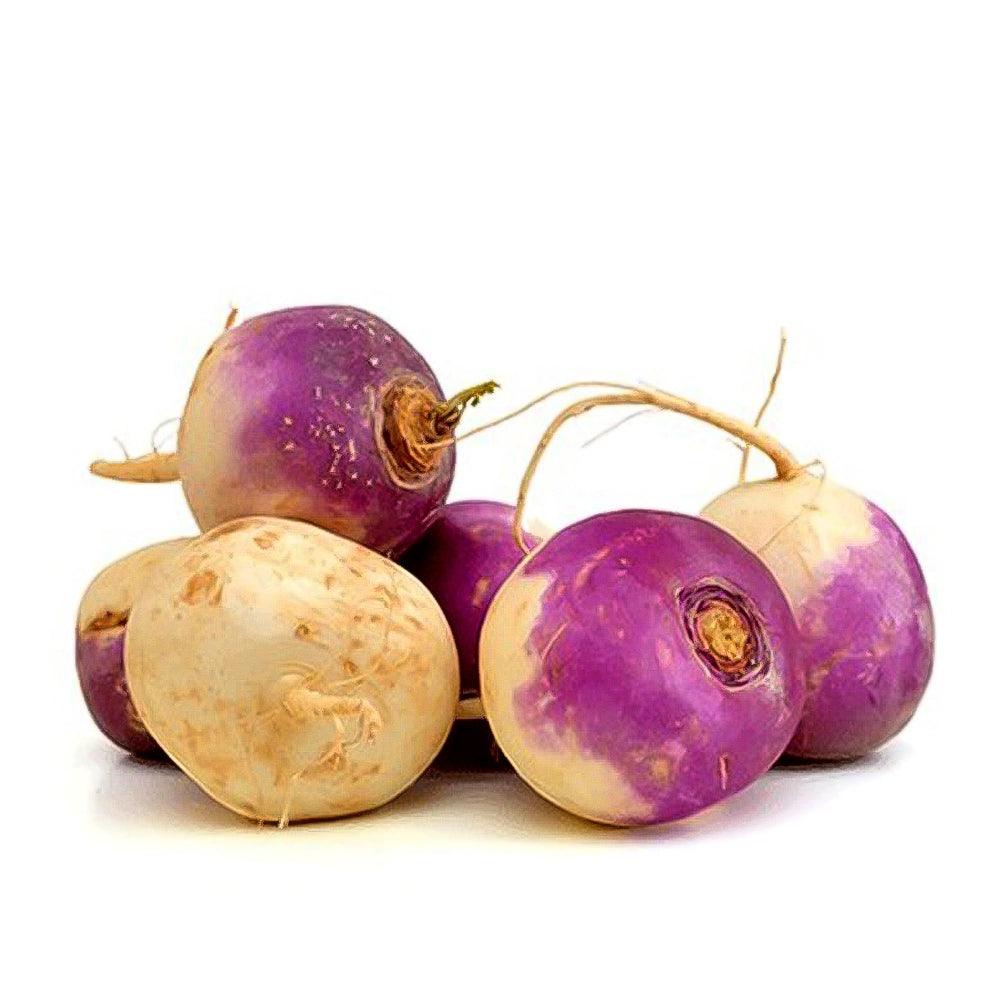 Turnip Middle East 1 Kg   HorecaStore