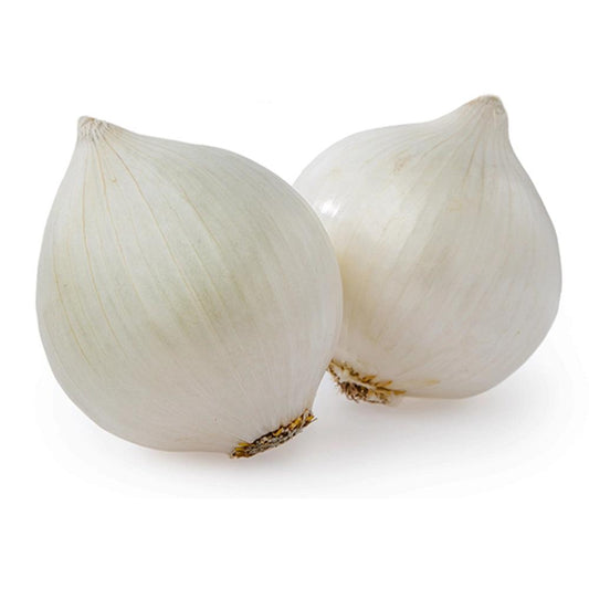 White Onion Middle East 1 Kg   HorecaStore