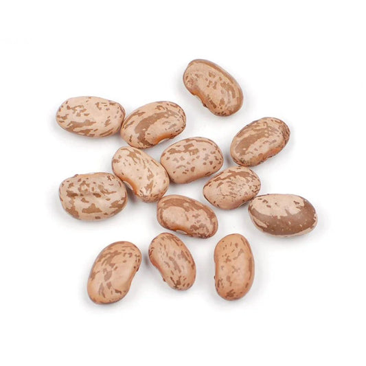 Senor Pepe's Dried Pinto Beans, 22.727 KG - HorecaStore