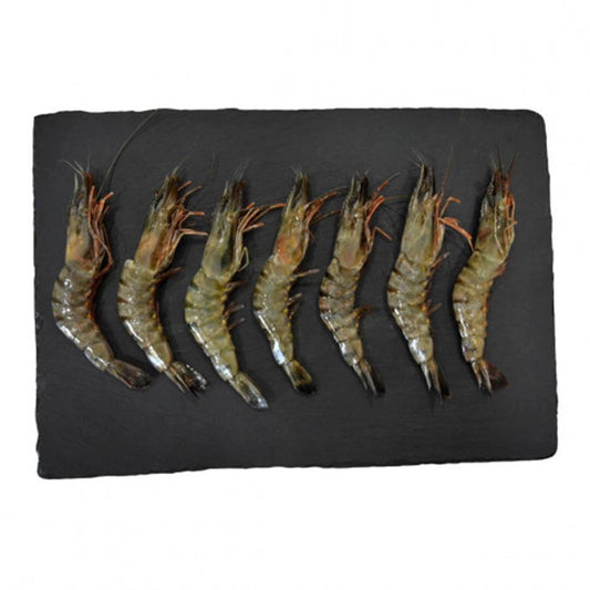 Frozen Black Tiger Shrimp Heads On 20/30, 1 x 10 kg   HorecaStore