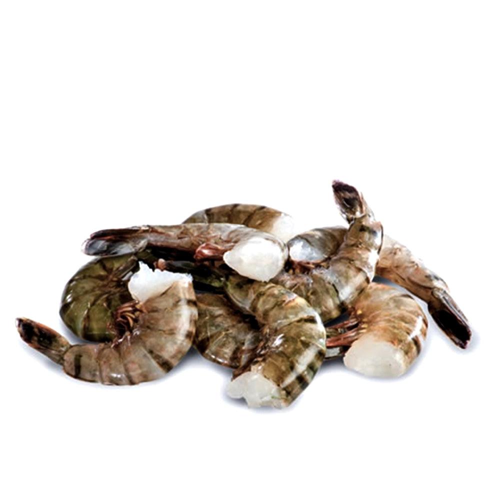 Frozen Black Tiger Shrimp Headless 11/15, 1 x 10 kg   HorecaStore