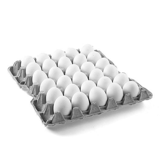 Organic Fresh Eggs 30 Pcs x 10 Trays   HorecaStore