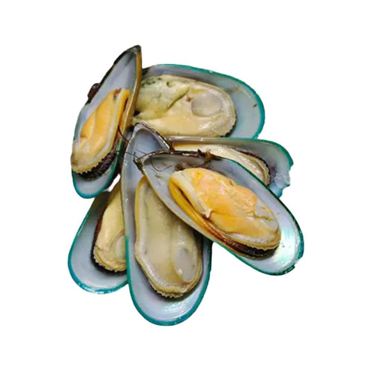 Frozen Medium Half Shell Green Mussels 1 x 12 kg   HorecaStore