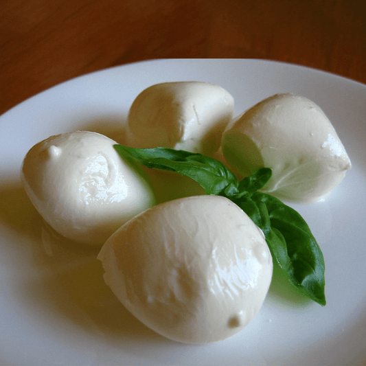 Italian Milk Cow Italy Bocconcini Mozzarella in Brine 1 Kg - HorecaStore