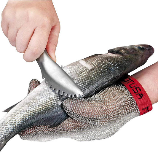 Lacor 39040 Inox Fish Scraper 19 cm - HorecaStore