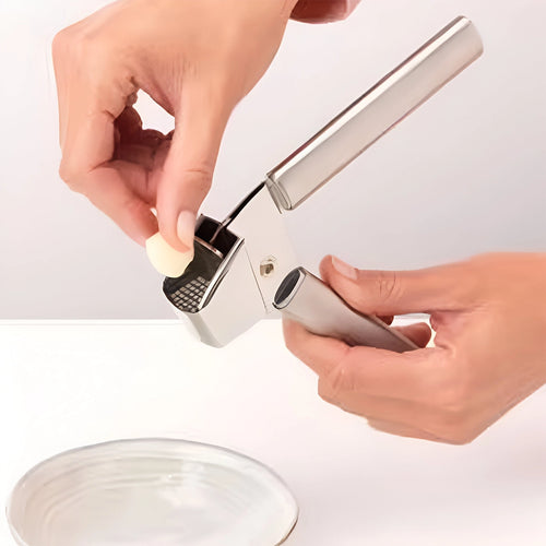 Brabantia Brilliant Steel Garlic Press