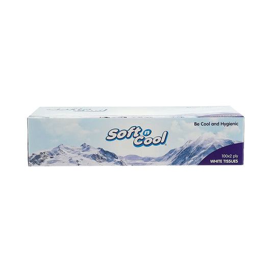 hotpack soft n cool white facial tissue 100 x 2 ply 30 pcs