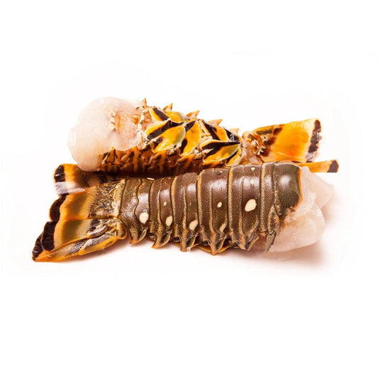 Oman Frozen Lobster Tail 100 200 grams piece, 1 x 20 kg Pack   HorecaStore
