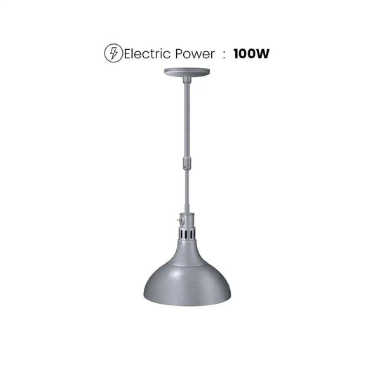 Hatco Corp DL-800 Ceiling Mount Heat Lamp 100W - HorecaStore