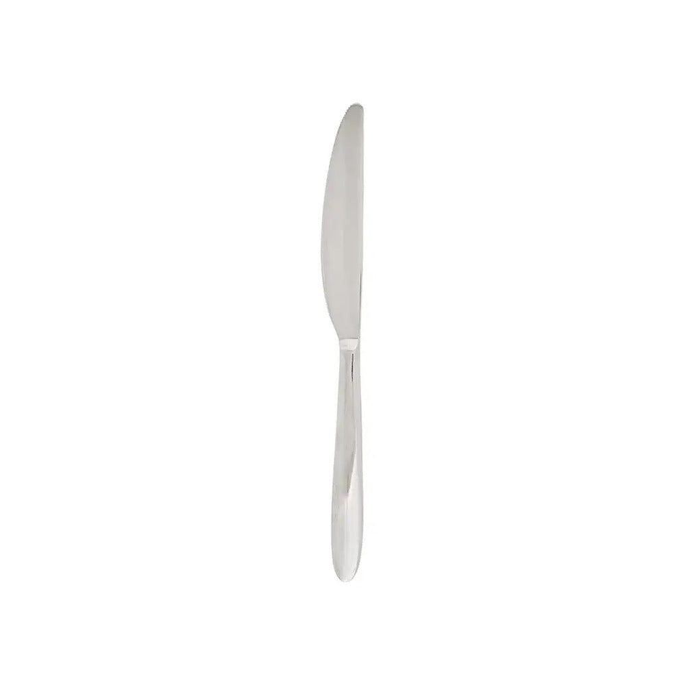 Winsor Stainless Steel Dessert Knife