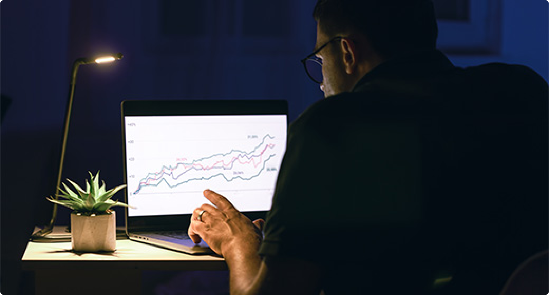 Man working late at night analyzing detailed line graphs on a laptop screen under desk lamp, with small potted plant placed beside the computer.